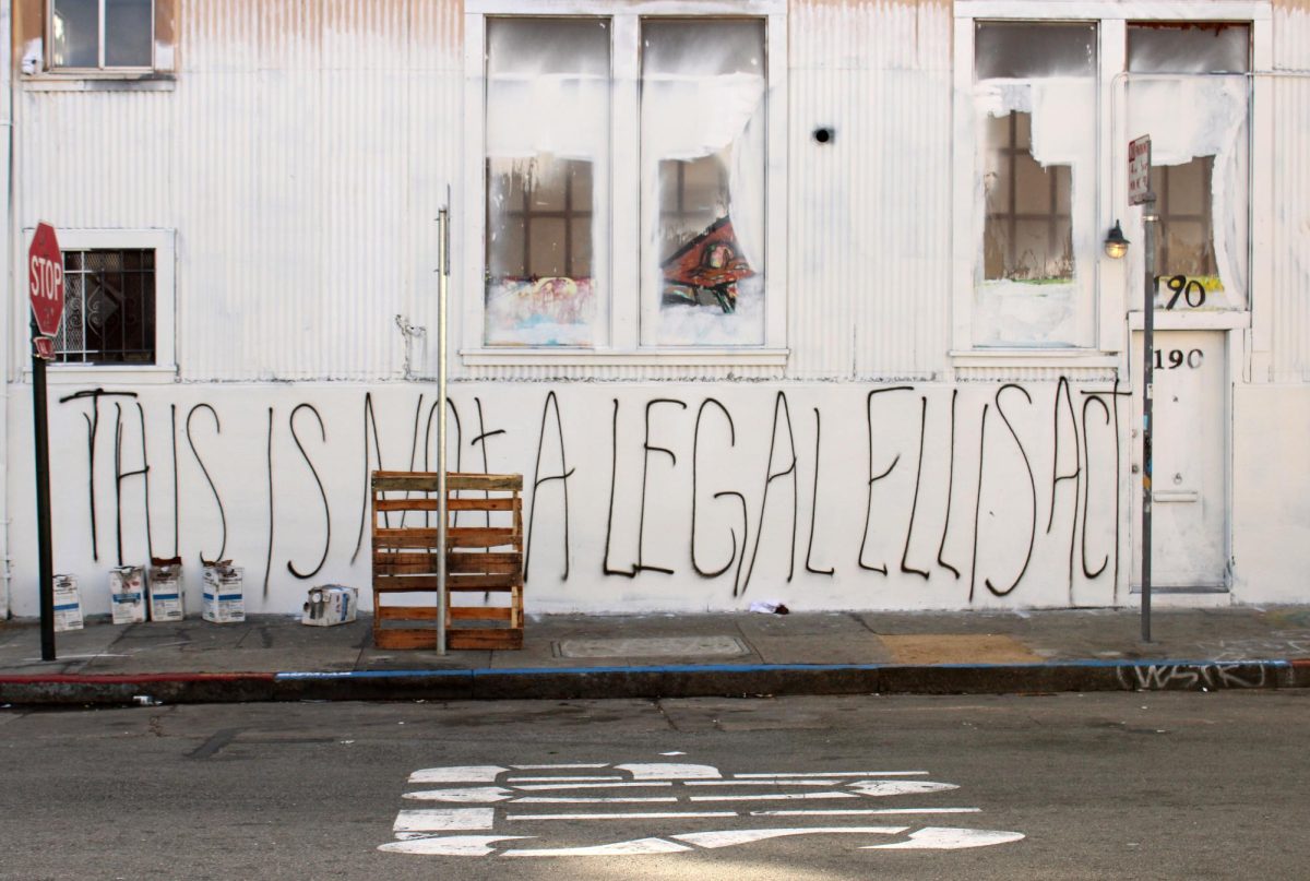 Photo of rows of books in a library with marble busts.
